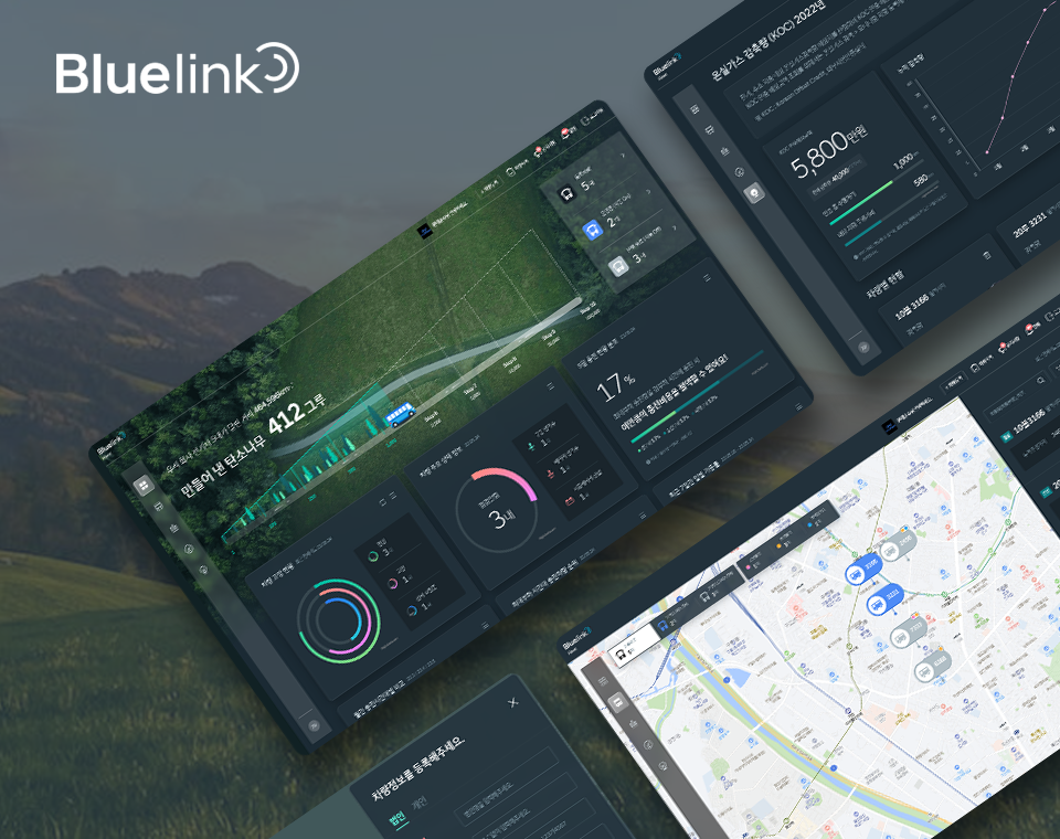 Development of HMC BLUELINK FLEET 2.0